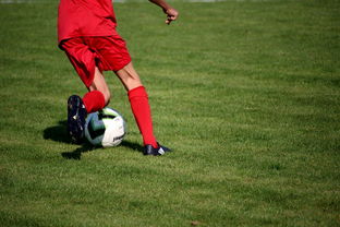 开云体育官方网入口-篮球运动员心理韧性培养及心理干预体系，篮球运动员的心理训练