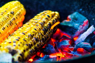 开云官方-运动饮食干预对运动表现的促进研究，举例阐述饮食运动对健康的意义