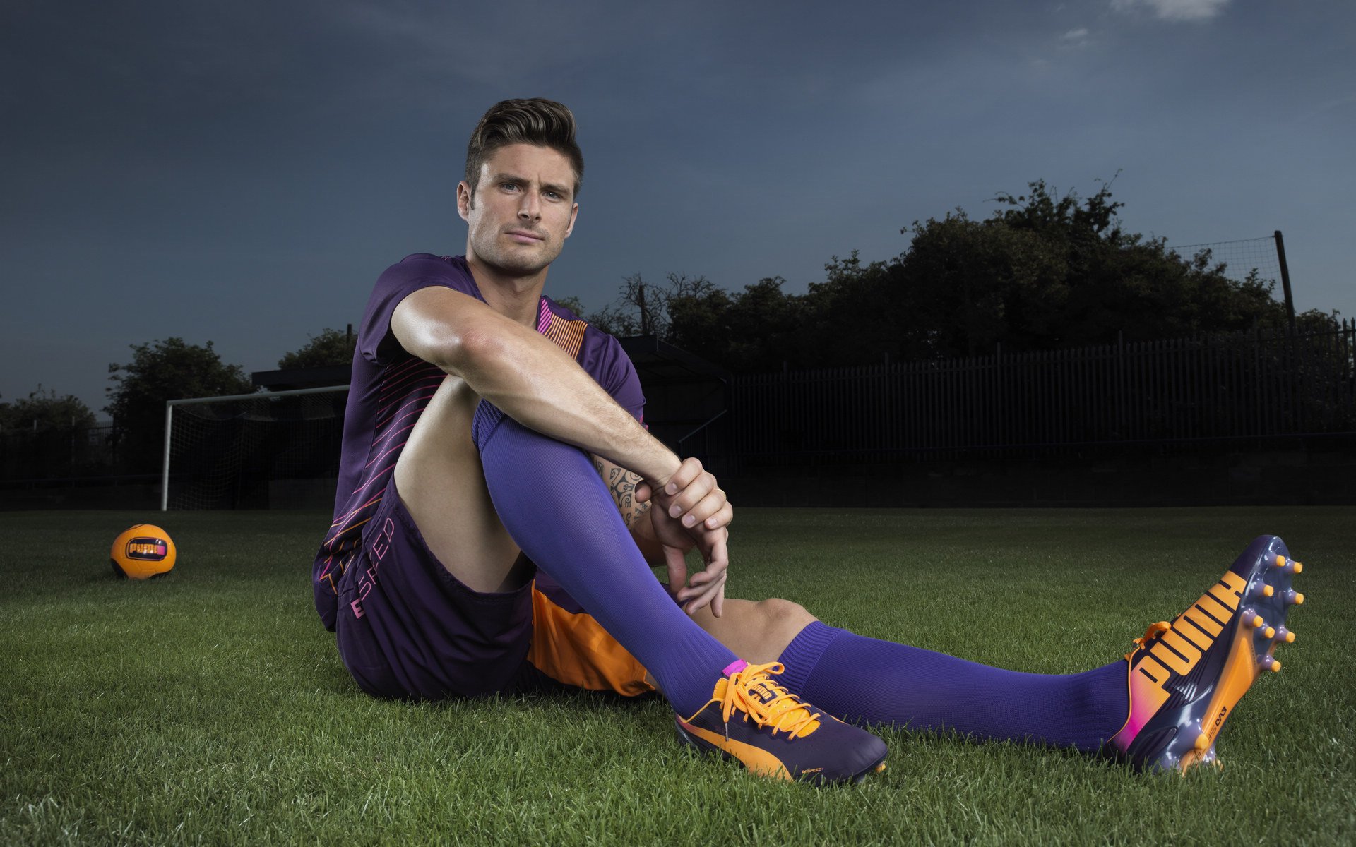 伊朗马术协会建立马匹基因数据库，促进马匹选育与训练。，伊朗马球