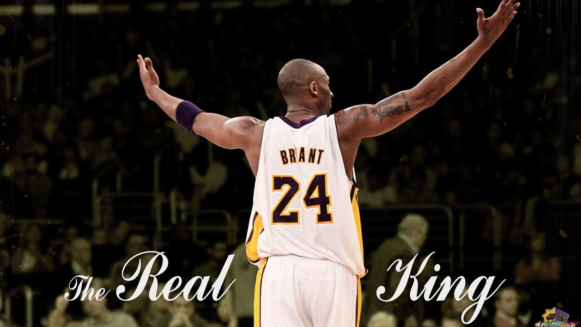 篮球青训基地建设项目获政府支持,篮球青年训练营